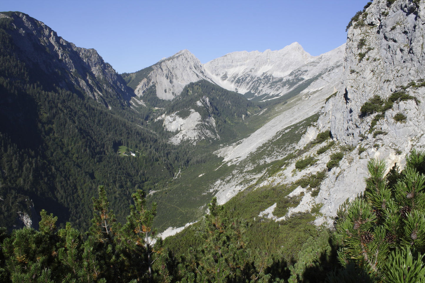 Belegstelle Halltal 2025 buchen